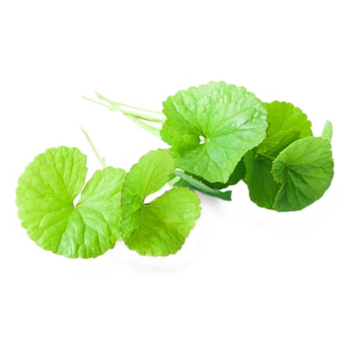 qalr0 Cleansing Complex Centella Asiatica