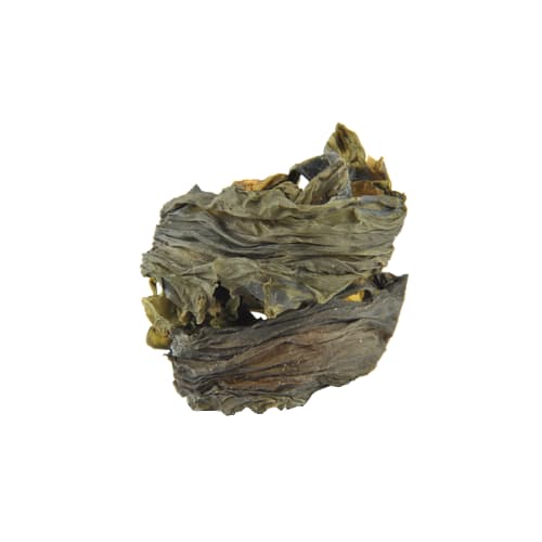 vjraz Norwegian Kelp (1)